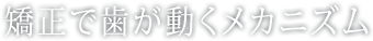 矯正で歯が動くメカニズム