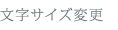 文字サイズ